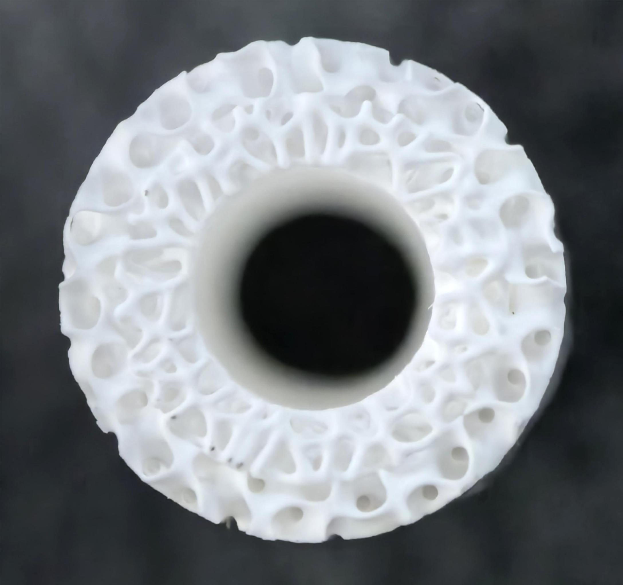 复杂3D结构组织工程支架