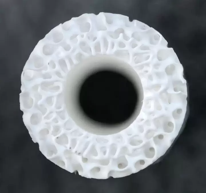 复杂3D结构组织工程支架